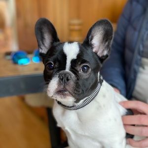 Meet your Posher, Ashlee